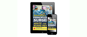 Schwartz's Principles of Surgery ABSITE and Board Review, 10/E